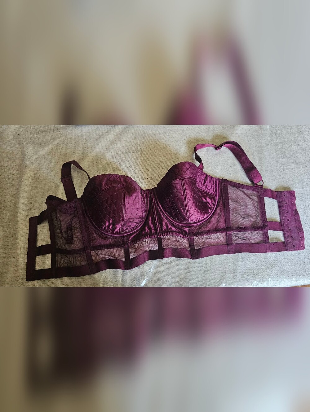 Victoria's Secret Quilted Plum Longline Bustier Bra